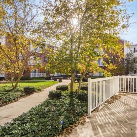 a sidewalk with trees and buildings